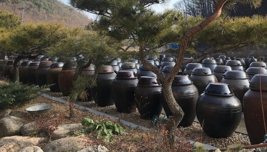 Ganjang Pots