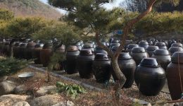 Traditional Korean Pots Ganjang Pots